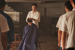  苏见信 